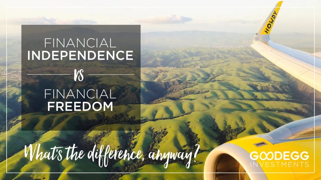 Financial Independence vs Financial Freedom with airplane wing