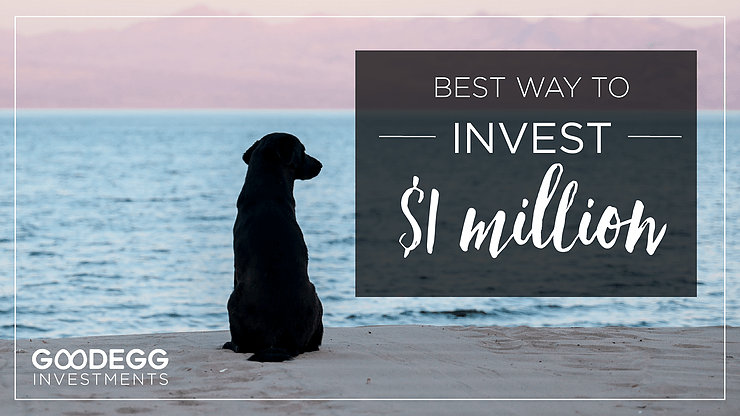 Best Way to Invest $1 Million with a dog on waterway