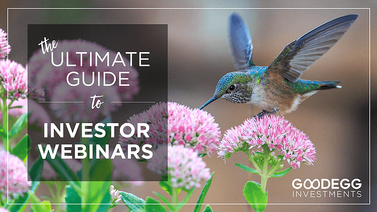The Ultimate Guide to Investors Webinars with a hummingbird and flowers